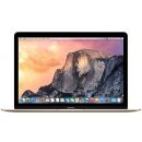 Apple MacBook MLHF2CZ/A