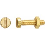 Závitový šroub s válcovou hlavou PZ mosazný M4 x 16 mm, 8 ks + matice – Sleviste.cz