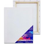 Tempus malířské plátno MP 20X30 280G/M2 – Zboží Dáma
