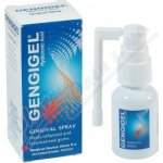 Gengigel Sprej na dásně 20 ml – Hledejceny.cz