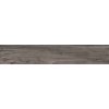 ABK Ceramiche Doplhin coal DPR35300 20 x 120 x 0,9 cm imitace dřeva tmavě šedá 1,44m²