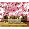 Tapety Dimex XL-524 vliesová fototapeta na zeď Apple blossom rozměry 330 x 220 cm