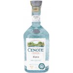 Cenote Blanco 40% 0,7 l (holá láhev) – Zboží Dáma