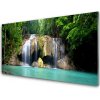 Obraz akrylový obraz Vodopád Strom Příroda 100x50 cm