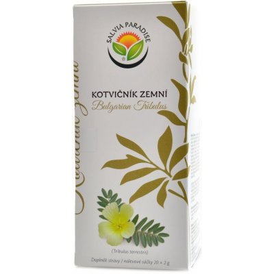 Salvia Paradise Kotvičník zemní Tribulus n. s. 20 x 2 g – Hledejceny.cz