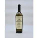 Gruzie Rkatsiteli Dry White Wine 12% 0,75 l (holá láhev) – Hledejceny.cz