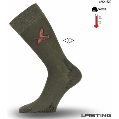 Bavlněná ponožka LFSK 620 zelená
