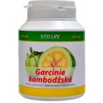 Ostrovit Supreme ALC acetyl l-carnitine 200 g – Hledejceny.cz