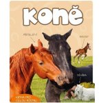 Koně – Sleviste.cz