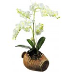 AG Design SM3430 Samolepicí dekorace Orchidej, rozměry 42,5 x 65 cm – Hledejceny.cz