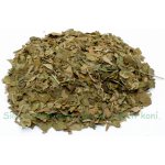Koňské bylinky Jinan Ginkgo biloba list řez 1 kg – Hledejceny.cz
