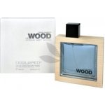 Dsquared2 He Wood Ocean Wet Wood toaletní voda pánská 100 ml – Hledejceny.cz