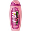 Vidal Berries & Musk sprchový gel 250 ml