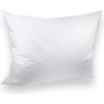 Brotex Péřový polštář PREMIUM 1100 g bílý 70x90 – Zboží Mobilmania