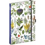 Kateřina Winterová Notes Bylinky tečkovaný 13 x 21 cm – Zbozi.Blesk.cz
