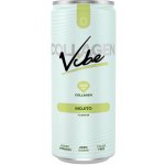 Näno Supps Collagen VIBE drink - mango, marakuja 330ml – Zboží Dáma