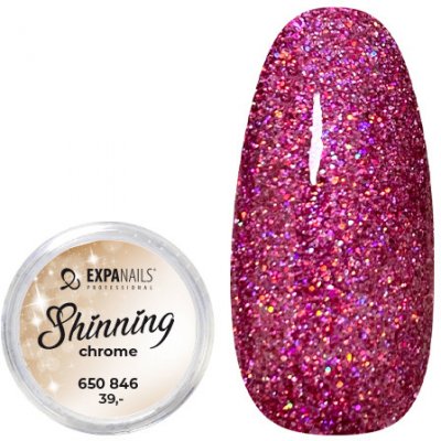 Expa nails třpytky na zdobení nehtů shining chrome glitter 6 2 g – Zbozi.Blesk.cz