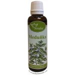 Serafin byliny Meduňka tinktura z bylin 50 ml – Hledejceny.cz