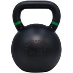 Truesteel Ocel 24 kg – Zboží Dáma Truesteel Ocel 24 kg – Zboží Dáma