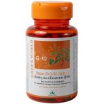 Green World Koenzym Q 10 60 kapslí – Hledejceny.cz