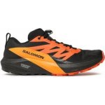 Salomon Sense Ride 5 Gore-Tex – Zboží Mobilmania