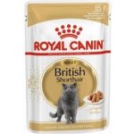 Royal Canin British Shorthair Gravy 12 X 85 g – Zbozi.Blesk.cz
