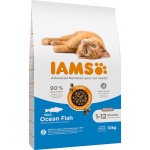 IAMS Advanced Nutrition Kitten s mořskou rybou 10 kg – Zboží Dáma