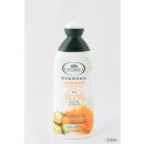 L' Angelica Shampoo Nutriente Pappa Reale Oliva 250 ml