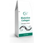 AKH BioActive COLLAGEN 300 g – Zboží Mobilmania