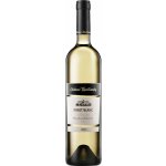 Chateau Topoľčianky Pinot Blanc 12,5% 0,75l (holá láhev) – Hledejceny.cz