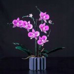 LEGO® 10311 LED světla pro Creator Expert Orchidej – Zboží Dáma