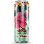 Arizona Spicy Green Tea with Mike's Hot Honey 0,65 l – Zbozi.Blesk.cz