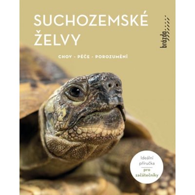 Suchozemské želvy - Chov, péče, porozumění - Manfred Rogner