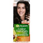 Garnier Color Naturals 2.0 jemně černá – Sleviste.cz