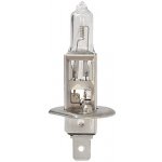 Narva H1 P14,5s 12V 55W – Hledejceny.cz