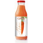 Ovocňák Mošt JABLKO MRKEV 750ml – Zboží Dáma