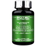 Scitec Mega Glucosamine 100 kapslí – Hledejceny.cz