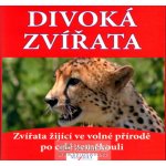 Divoká zvířata Mayday Murin Filip – Hledejceny.cz