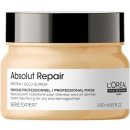 L'Oréal Expert Absolut Repair Lipidium Mask 250 ml