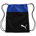 Puma teamGoal 23 07685302 – Zboží Mobilmania
