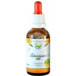 Salvia Paradise Česnek setý AF tinktura 50 ml – Zboží Mobilmania