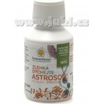 SonnenMoor tinktura bluhoson 100 ml – Hledejceny.cz