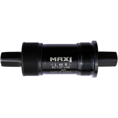 MAX1 113,5+Fe BSA