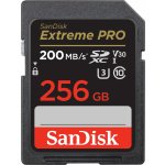 SanDisk SDXC UHS-I U3 256 GB SDSDXXD-256G-GN4IN – Zboží Živě