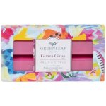 Greenleaf Vonný vosk Guava Gloss 73 g – Hledejceny.cz