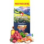 Ontario Adult Large Lamb & Brown Rice 20 kg – Hledejceny.cz