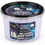 Organic Shop Sleeping tělový peeling exfoliate your worries 250 ml – Sleviste.cz
