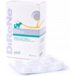 ATV impex Direne tbl 32 – Hledejceny.cz