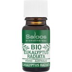 Saloos Esenciální olej Eukalyptus Radiata BIO Eukalyptus radiata 10 ml – Zboží Dáma