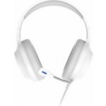 Zalman ZM-HPS310 – Zboží Živě